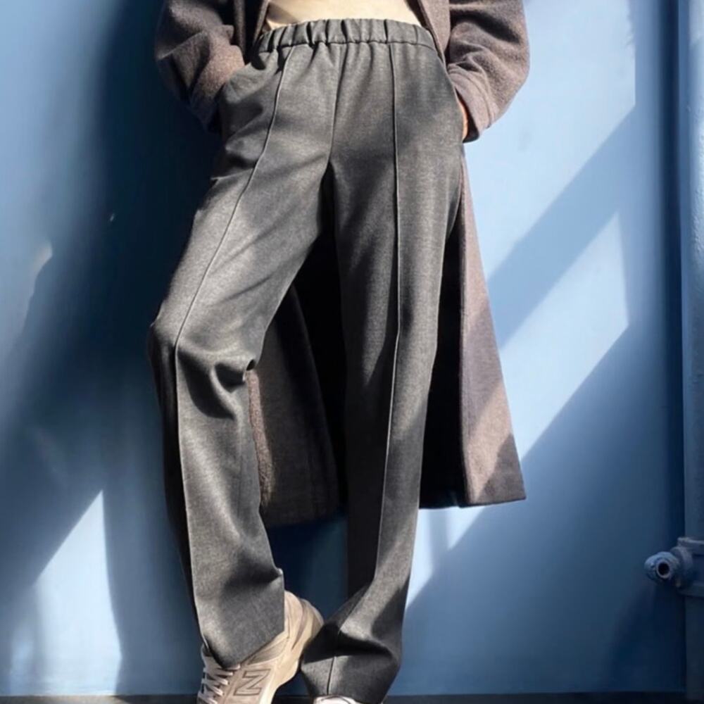 ARITZIA The Group by BABATON Quarry Pull-On Pants S Gray Poly-Viscose Flannel